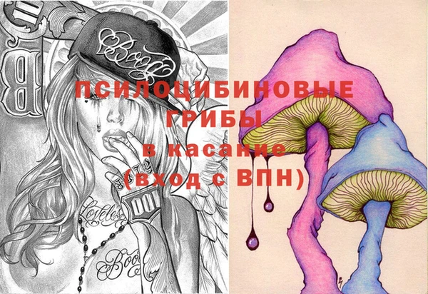МДПВ Гусев