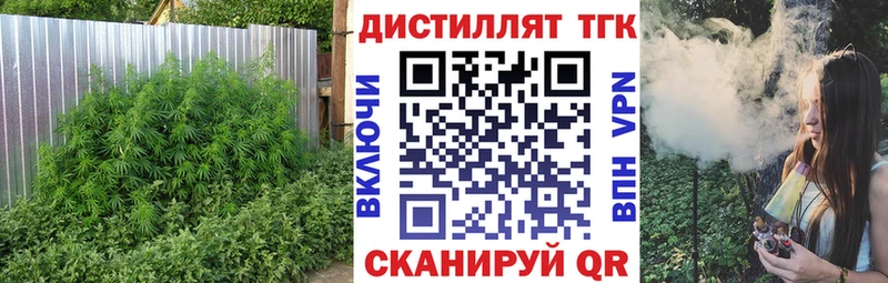 наркотики  Петровск-Забайкальский  ТГК Wax 