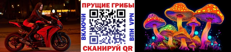 как найти закладки  Петровск-Забайкальский  Псилоцибиновые грибы ЛСД 